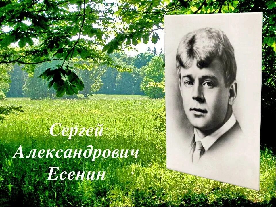 Я покинул родимый дом. Покинул дом родной Сергей Есенин я родимый. Сергей Александрович Есенин я покинул родимый дом. Сергей Александрович Есенин на природе. Мой Есенин.