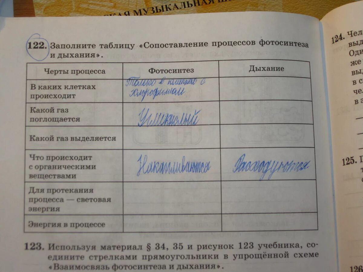 В каких клетках происходит кислород