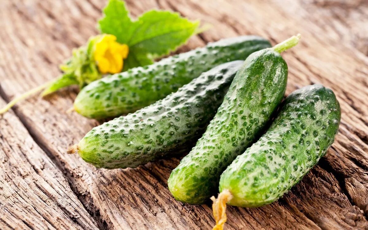 Огурец. Овощи огурец. Огурцы свежие. Огурец фото. Vegetables and cucumber