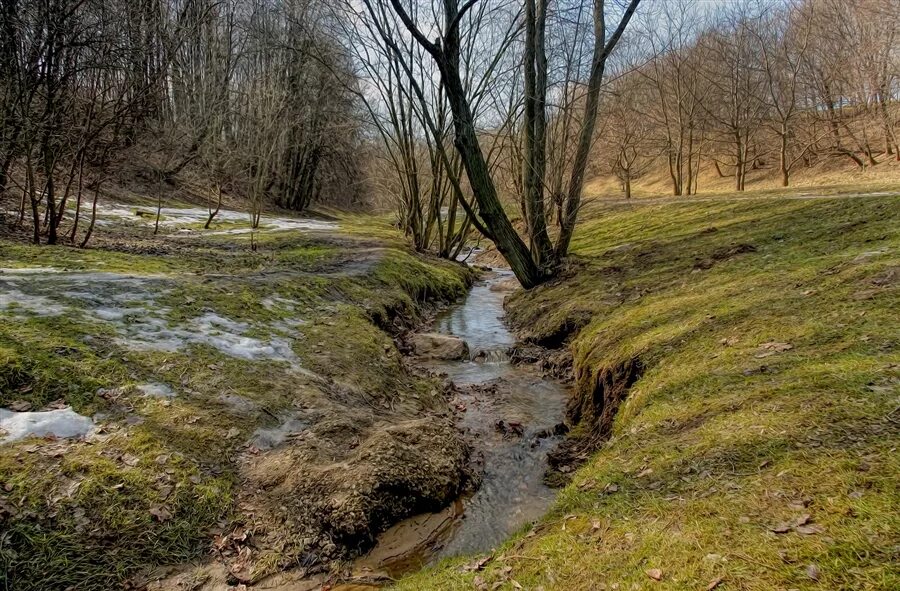 Весной весело журчат ручьи. Журчащий весенний ручей. Весенние ручьи.