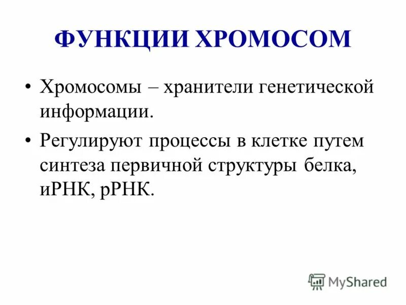 Генетическое определение. Роль днк и рнк в передаче наследственной информации. Генетическая роль хромосом. Роль хромосом в передаче наследственной информации. Функции риьосом.