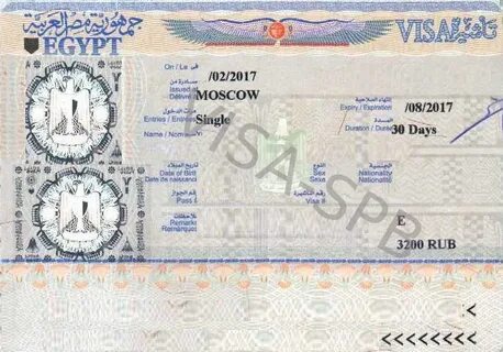 В каир нужна виза