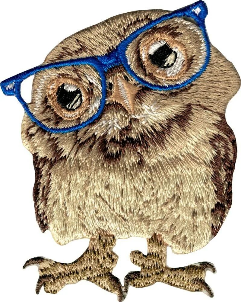 сова с книжкой. сова с книгой. сова в очках из мультика. сова учитель. умная сова.