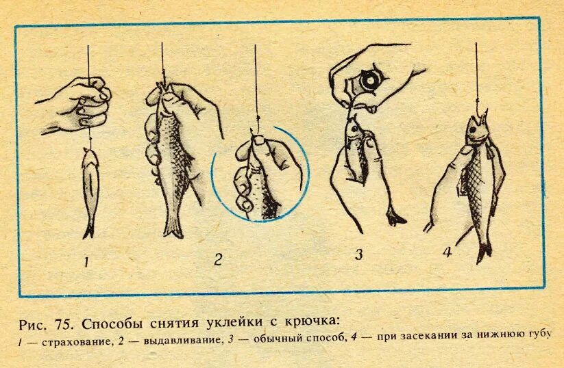 Ловля уклейки на поплавочную удочку весной. Оснастка на уклейку на поплавочную удочку. Снасти для рыбалки на уклейку. Удочка для ловли уклейки. Оснастка для ловли уклейки.