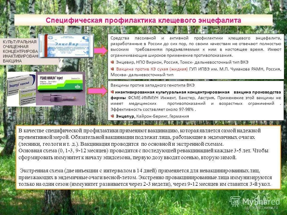 Какая прививка от клещевого энцефалита лучше. Клещевой энцефалит вакцинация схема. V1 клещевой энцефалит прививка. Экстренная схема вакцинации против клещевого энцефалита. Специфическая профилактика клещевого энцефалита вакцины.