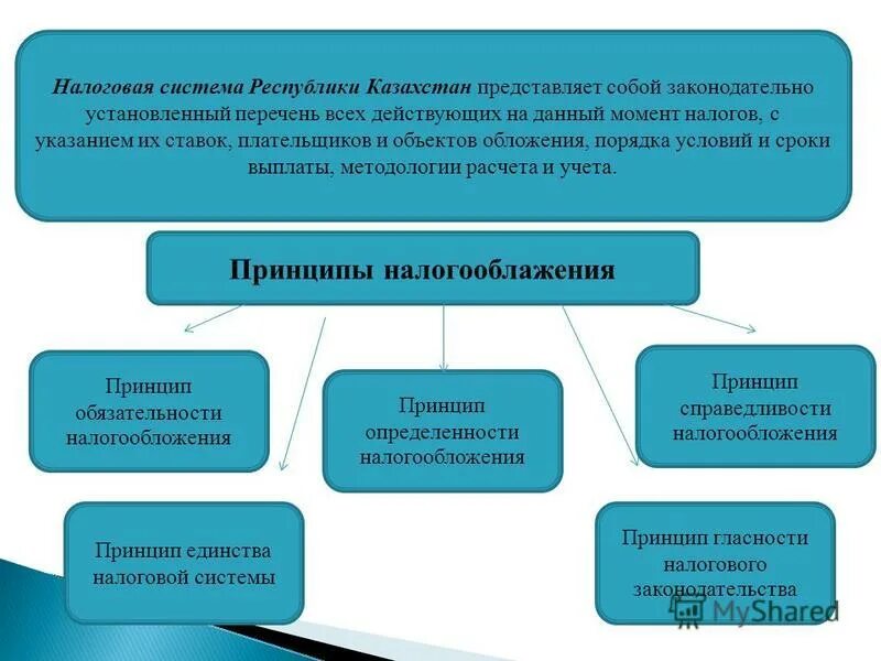 Общественная организация налоги