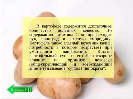 Что будет если есть картошку каждый день