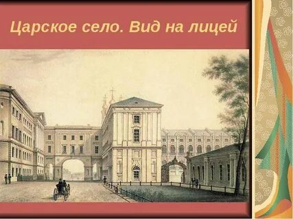 Виды лицей