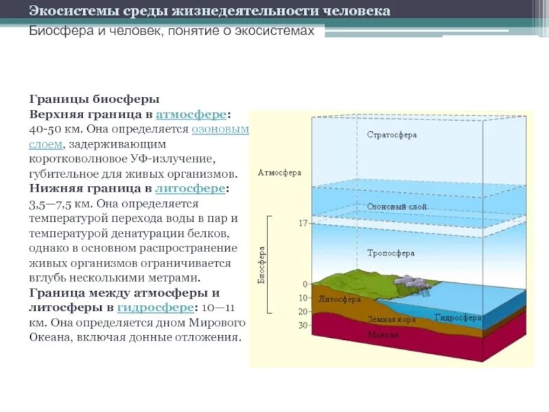 Биосфера границы биосферы среды. Биосфера и человек. Верхняя и нижняя граница биосферы. Понятие и границы биосферы. Где проводят верхнюю и нижнюю границу биосферы