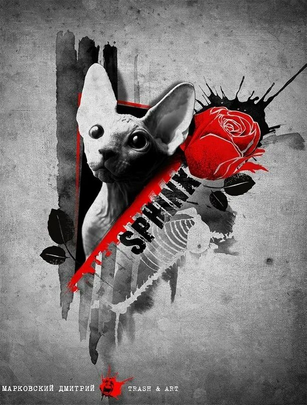 Добавь треш. Треш полька. трэш полька тату эскизы. кошка тату треш полька. тату треш полька надписи.