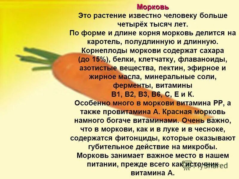 Морковь. Полезность моркови. Полезно знать. Полезность моркови. Полезность моркови.