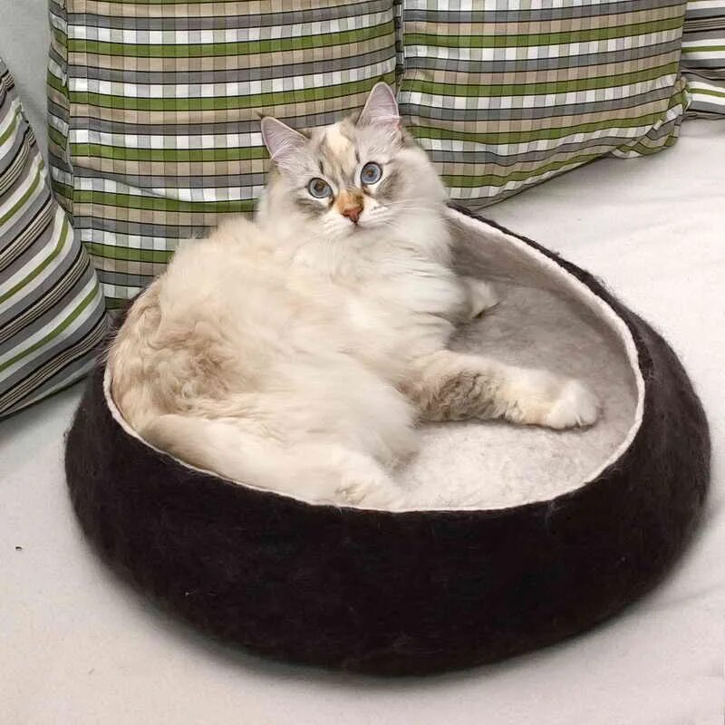 Как приучить котенка к лежанке. Спит в лежанке. кошка лежит на лежанке. елка из кошачьей лежанки. кот на лежанке эстетика.