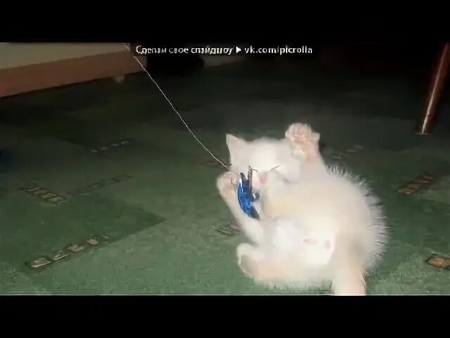 Ты мой миленький хорошенький котик текст. Песня про кота ты мой миленький хорошенький мой котик текст. Ты мой миленький хорошенький. Ладушки ладушки огреб пинка от бабушки. Ты мой миленький хорошенький.