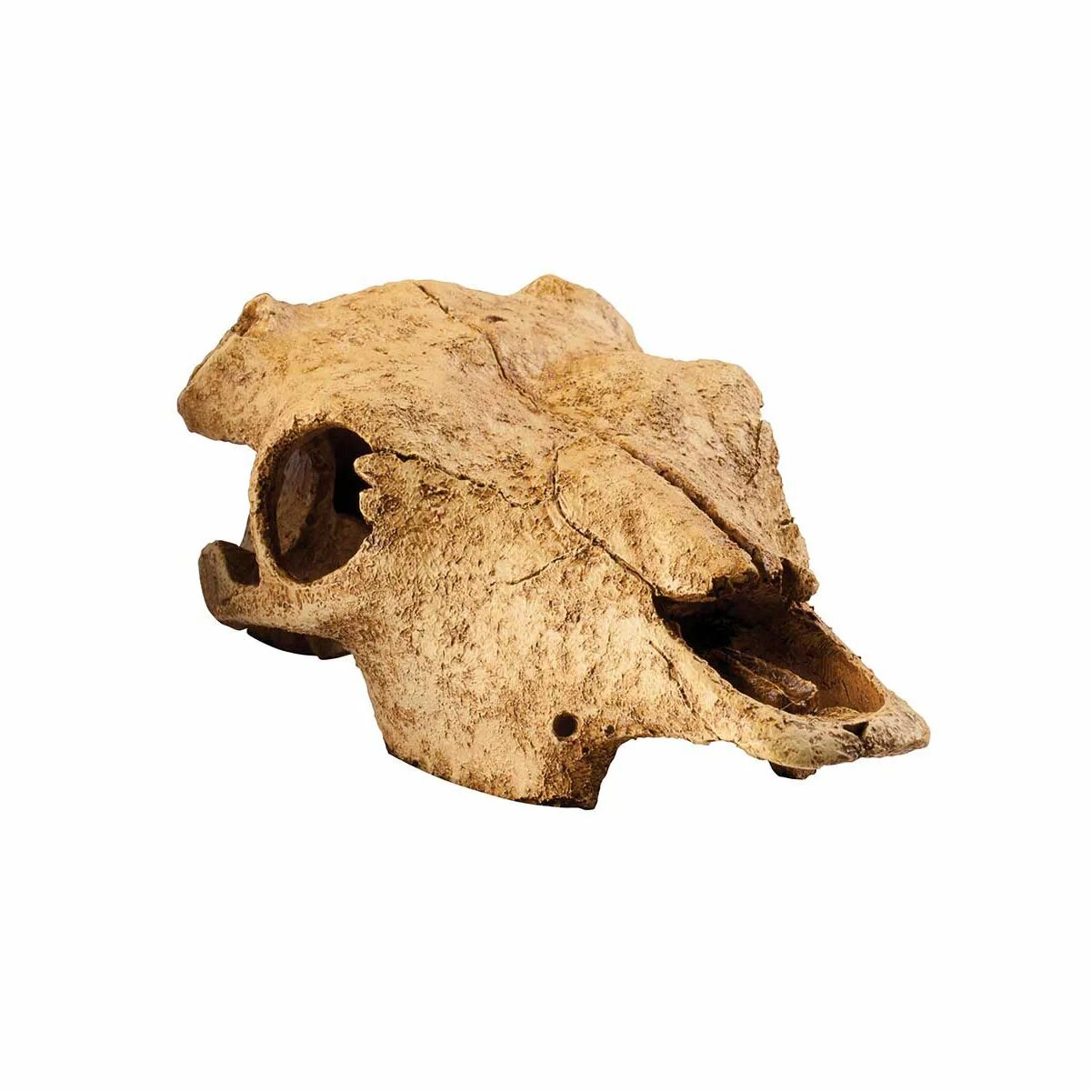 "Череп бизона" 23х23х11,5см EXOTERRA Buffalo Skull. EXO Terra череп. Убежище-декор череп бизона 23х23х11.5 см.. EXO Terra декор-убежище череп тираннозавра 15*7*7см рт2860. Череп бизона