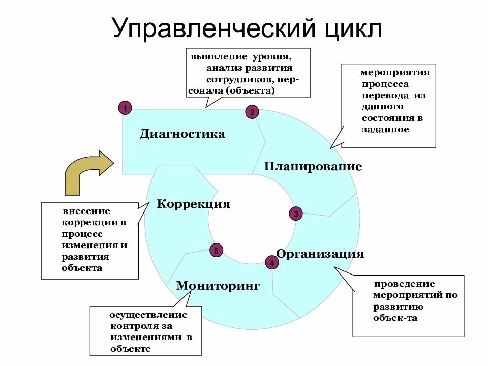 Аналитический цикл. Цикл менеджмента схема. Последовательность этапов управленческого цикла. Функции управления управленческий цикл. Структура управленческого цикла.