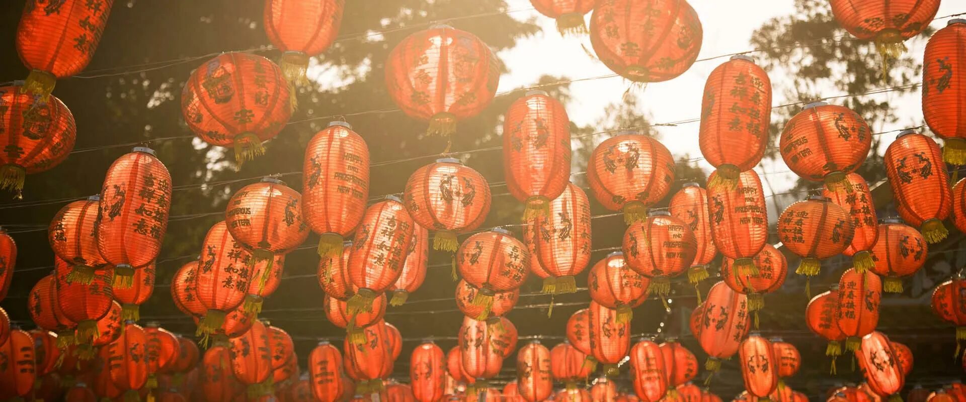 Lunar new year 2025. Lunar new year 2025