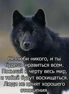 Когда черный волк завет меня