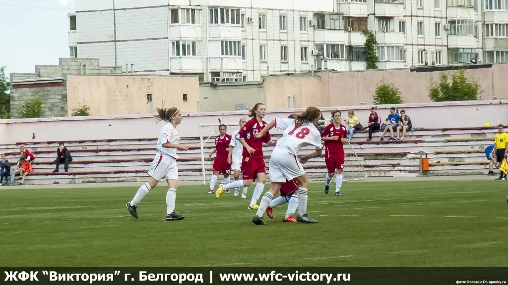 Спортивная школа 14. Виват Волжанка Саратов женский футбол. Виват Новосиньково.