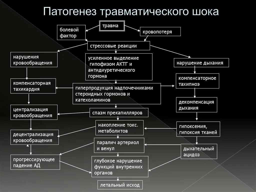 Патогенез травматического шока. Компенсаторные механизмы шока травматического. Патогенез травматического шокашока. Патогенез травматического шока патофизиология. Патогенез и клиническая картина