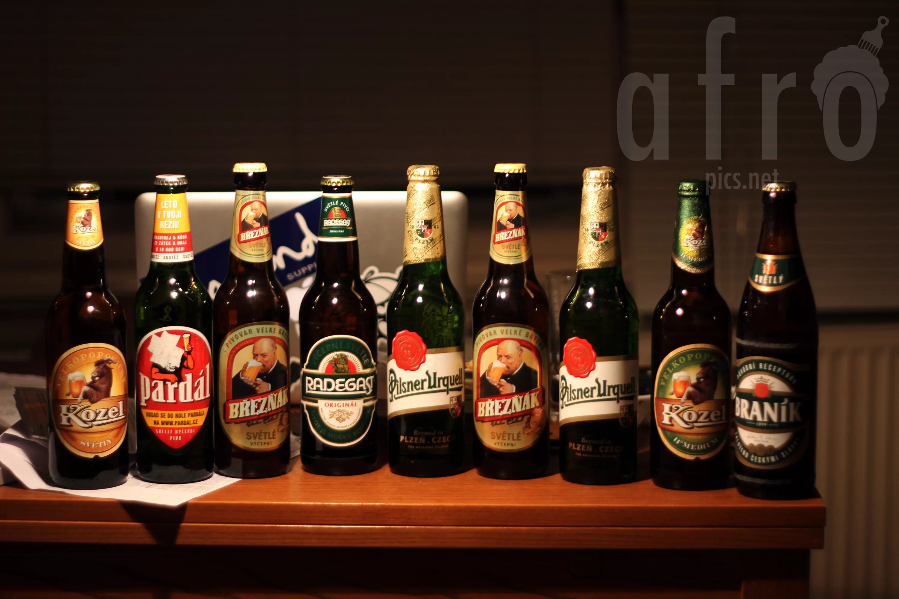 Где сейчас пиво купить. Чешское бутылочное пиво марки. Темное чешское пиво марки. Импортное чешское пиво.