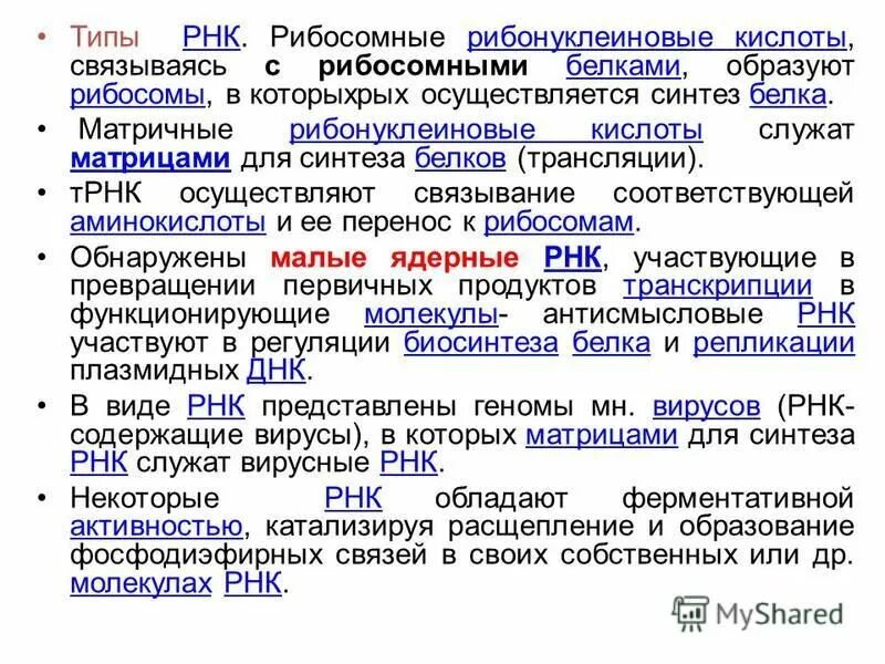 служат матрицами для биосинтеза белка. для синтеза днк матрицей служит. служат матрицами для биосинтеза белка. информационная рнк в процессе биосинтеза белка. молекулы днк матрицы для синтеза белков.