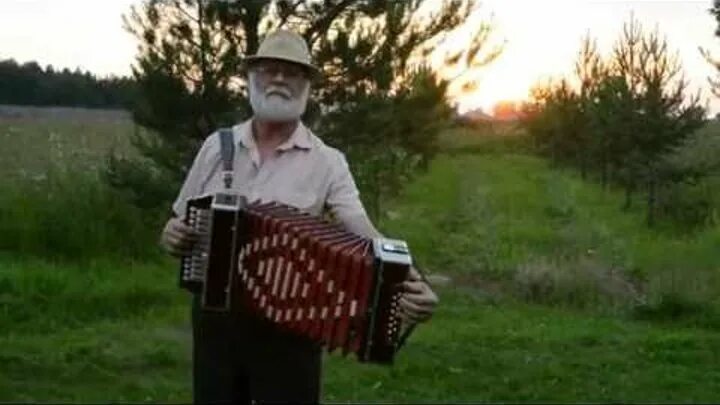Вальтер лози аккордеонист. Аккордеон в руках. Красивый фон с гармонью. Гармонь караоке. Баянист.