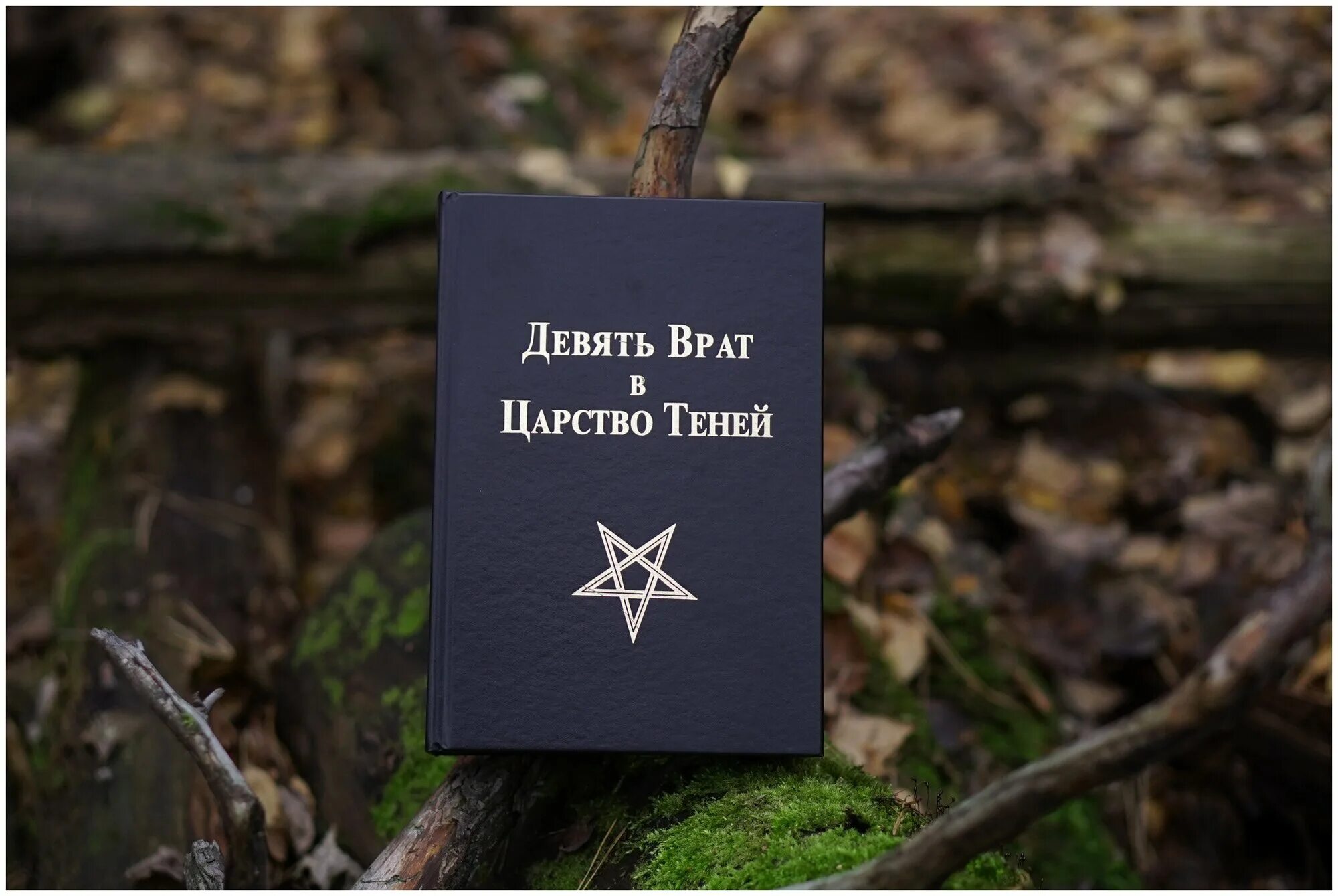 9 врат в царство призраков книга. Девять врат книга. Эстампы 9 врата. Книга девять врат. Эстампы 9 врата.