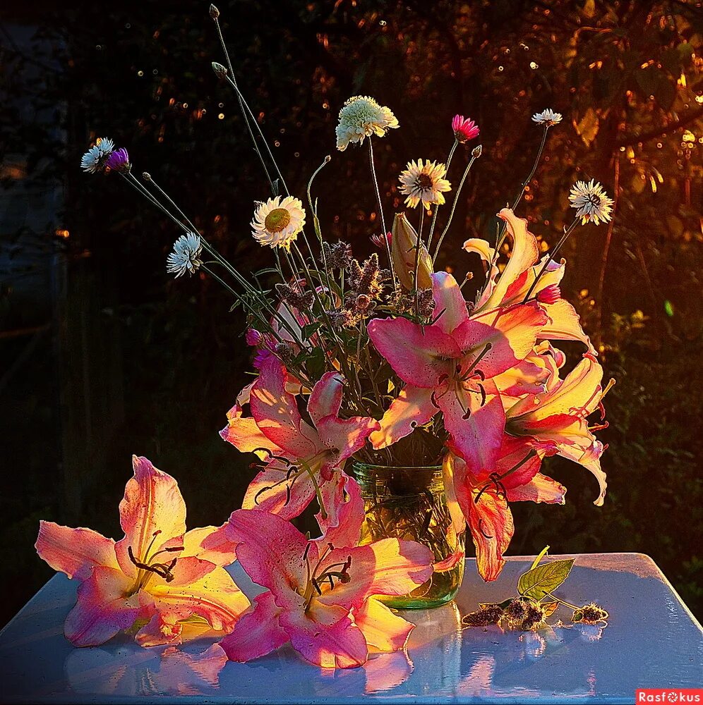 лилии в вазе. натюрморт с лилиями. бросал под вечер лилии. лилии песня текст. лилии расфокус.