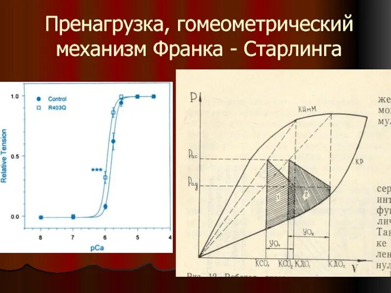 Компенсаторные механизмы примеры. Механизм старлинга физиология. Схема франка старлинга. Механизм франка старлинга. Механизм франка старлинга.