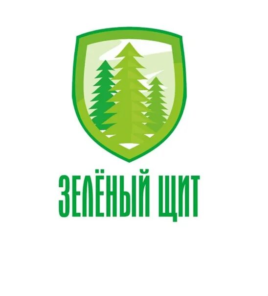 Зеленый щит 1