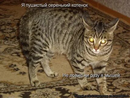 Ой небольшой