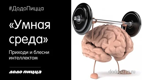 Физическая и умственная деятельность человека. Взаимосвязь физической и умственной деятельности. Спорт и мозг взаимосвязь. Влияние спорта на мозговую деятельность.