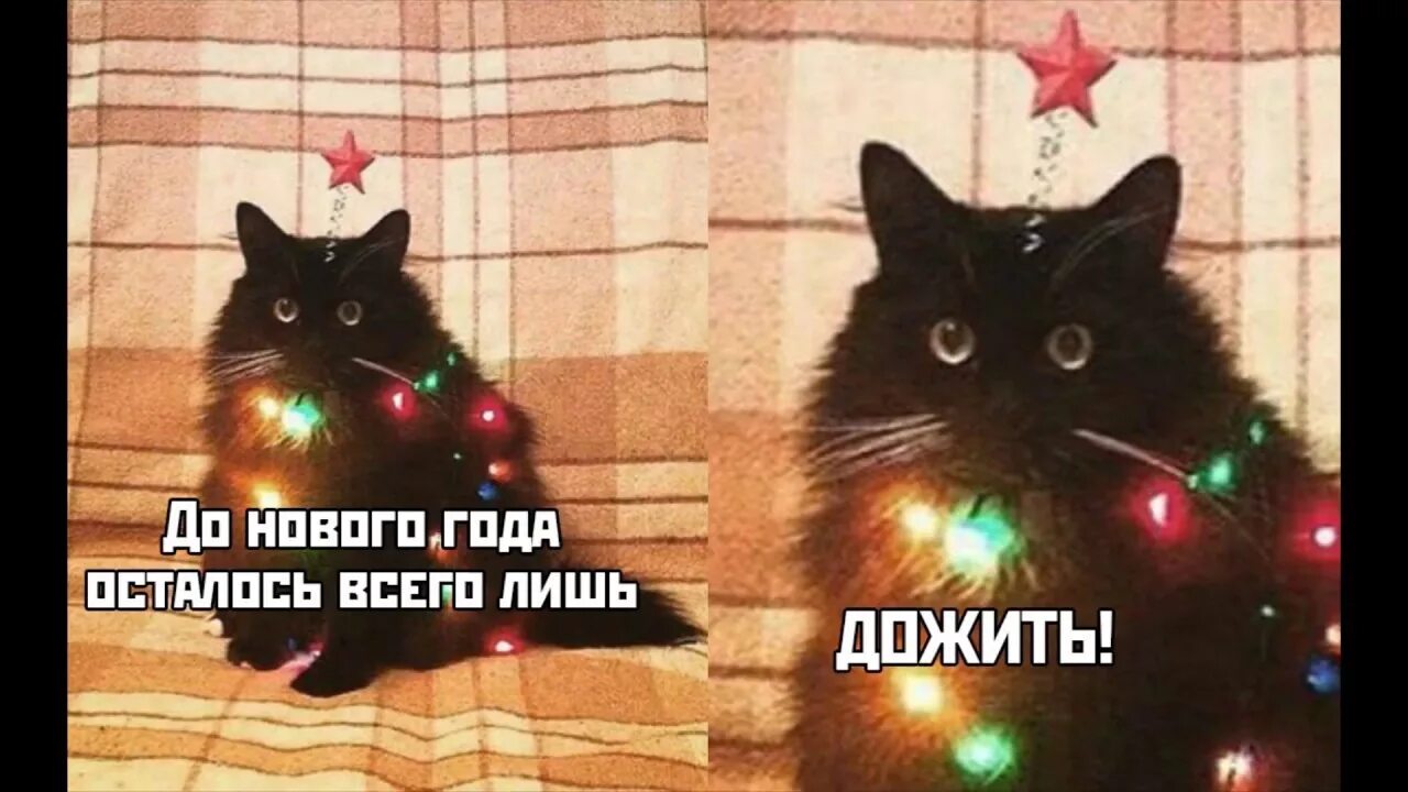 Вруби картинку
