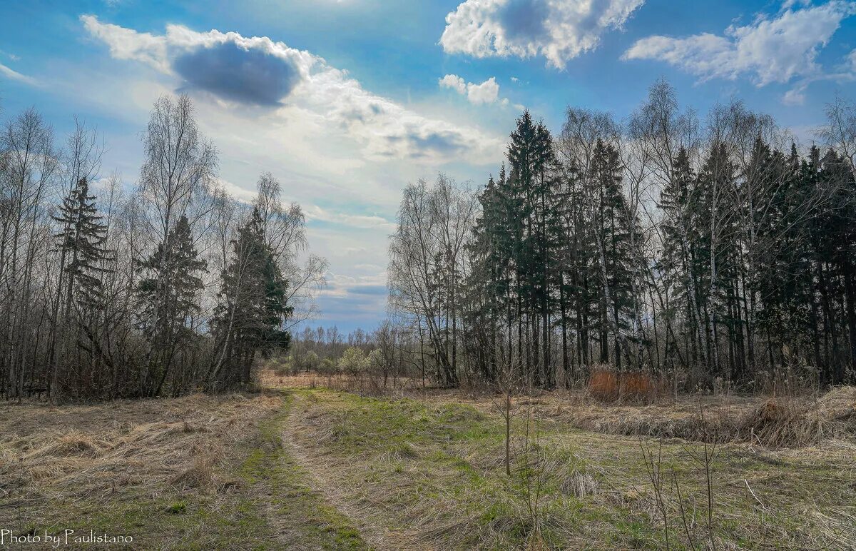 небо вечером без солнца. апрельское небо. 26. чернобыль noize mc. бьющий в апрельское небо над припятью.