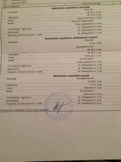 Элементы патологического гриба