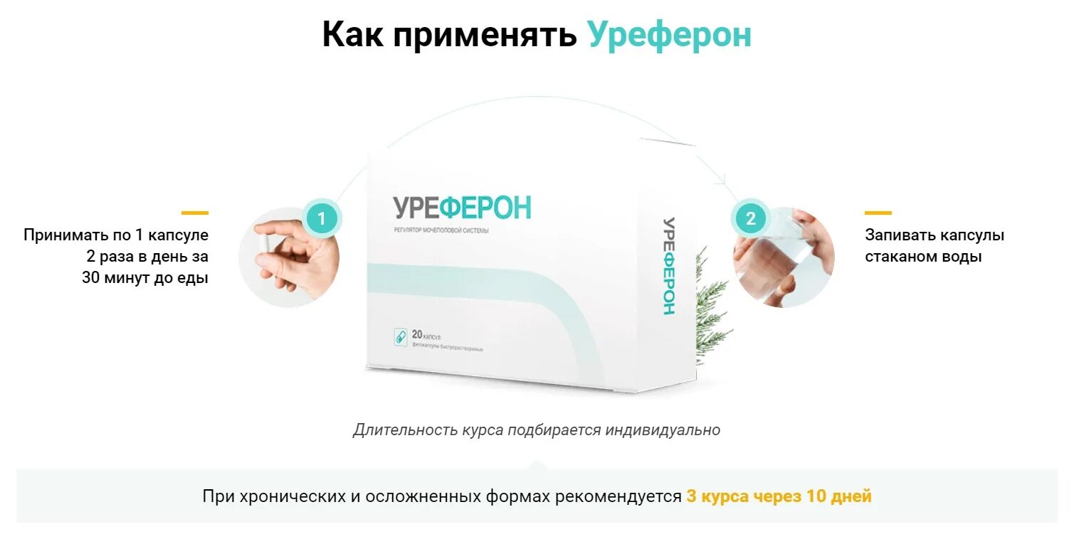 1 капсула 2 раза в день