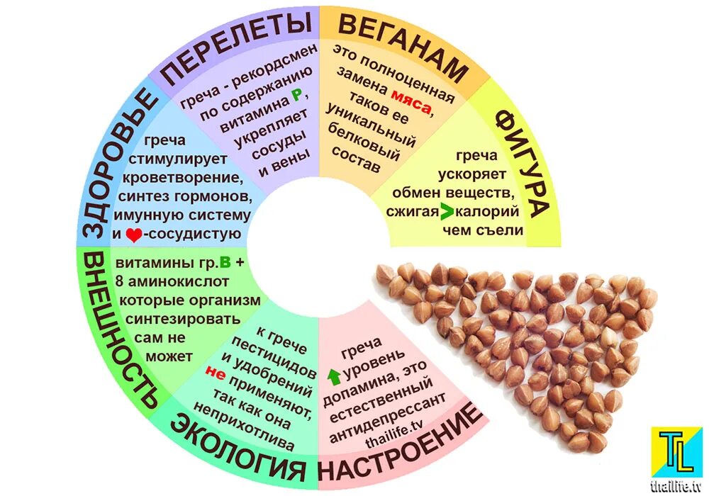 Гречка польза и вред для женщин. Чем полезна гречка для организма человека кратко. Чем полезна гречка. Польза гречки. Полезные вещества в гречке.