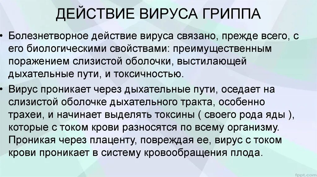 Действие вируса гриппа. Вирус гриппа и беременность. Действие вируса. Действие гриппа на беременных. Влияние вирусных заболеваний на зародыша презентация.