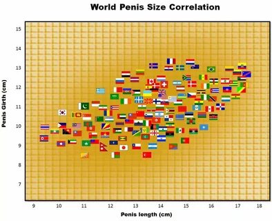 Average Penis Sizes Women Preferred.