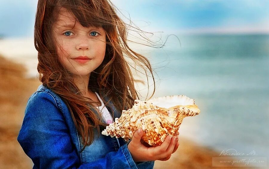 дети ракушек. дети ракушек. декор "ракушка". девочка с ракушкой. коллекция ракушек.