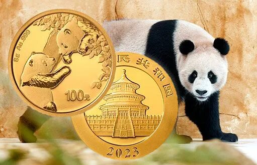 Китайские монеты юани 2023. Панды 10 юаней серебро. Китай 10 юань 2023 год панда серебро 0. Золотая монета китая панда 15 грамм 2023 год. 10 юаней 2023 панда серебро.