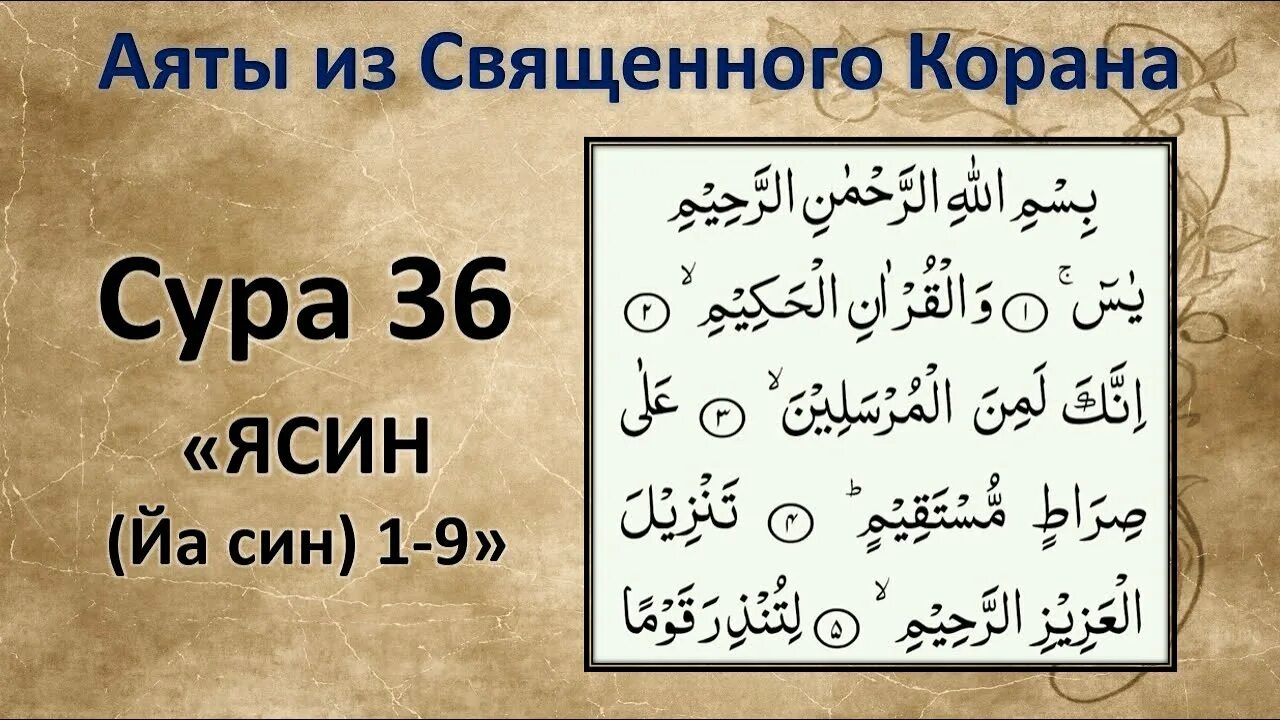 На какой странице сура ясин. 36 Сура Корана. Коран ясин. Сура ясин. Коран Сура ясин.