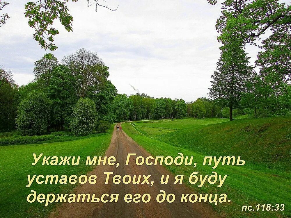 Пожелания в дорогу православные. С богом в добрый путь. С богом в добрый путь. Счастливой дороги с богом. Пожелания доброго пути.