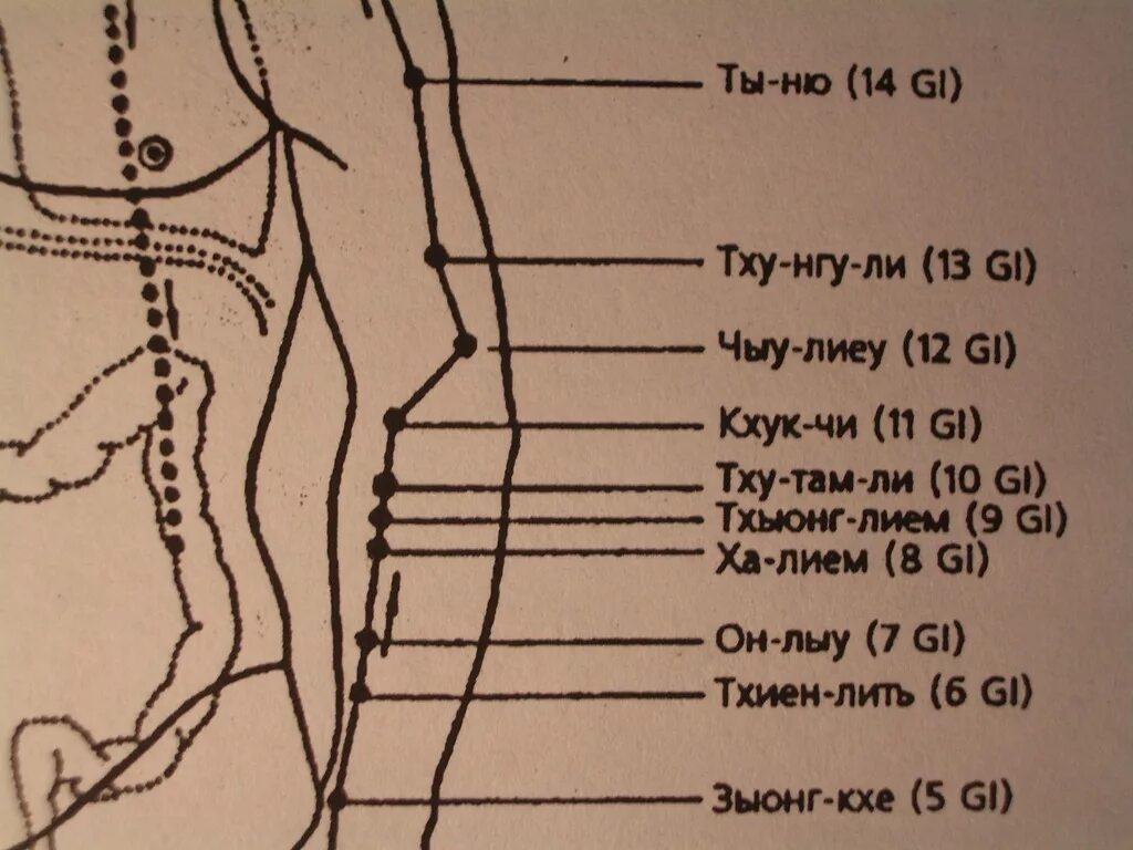 Где находится точка джи. Точки на предплечье отвечающие за органы. акупунктурные точки на предплечье человека. гуань юань точка для похудения. акупунктурные точки паха.