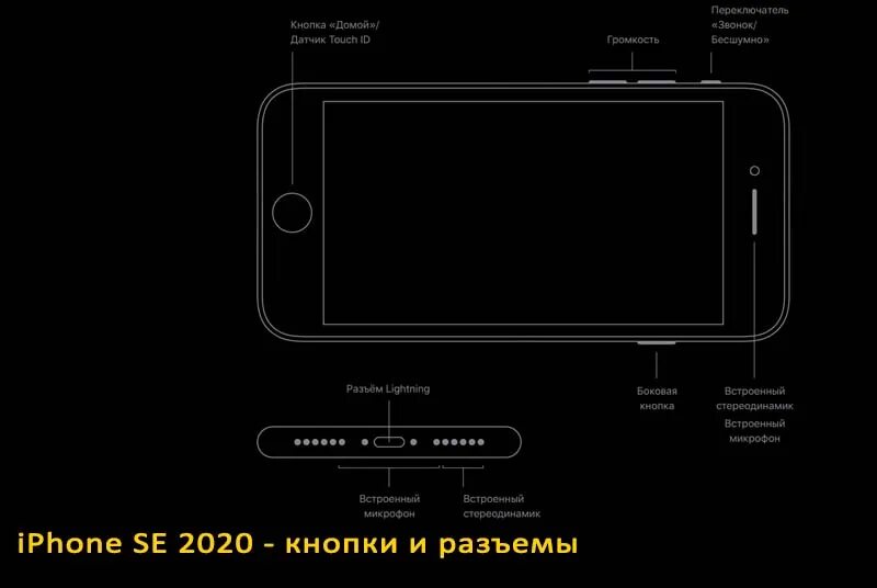 Экран се 2025. Iphone se 2025 расположение динамиков. iphone se 2025 разъемы. динамик айфон се 2025. микрофон iphone se 2025.