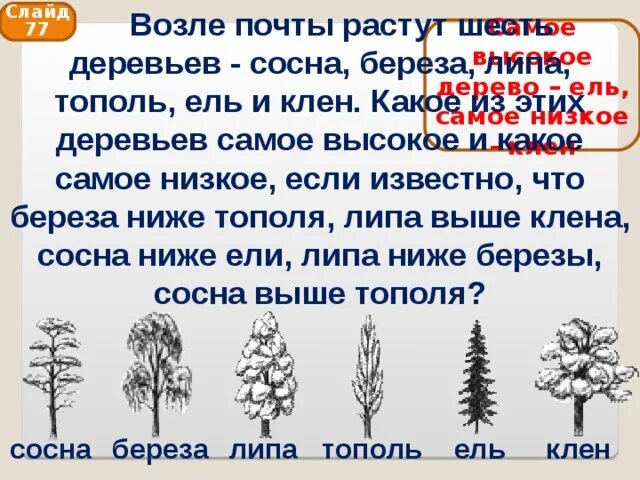 Предложения с словом хвойный. Клен липа береза Тополь сосна ель. Возле школы растут 6 деревьев сосна береза липа Тополь ель и клен. Дерево берёза сосна Тополь. Сосна выше березы.