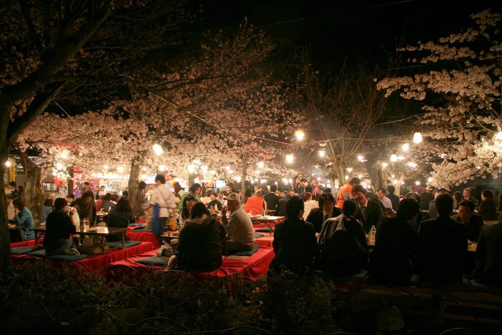 Фестиваль Сакуры в Японии. Летний фестиваль в Японии. Японский фестиваль ночью. Японский фестиваль Эстетика.