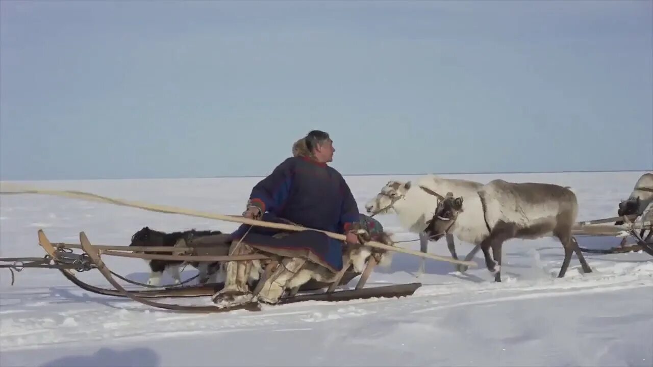 Великий северный путь отзывы. Великий Северный путь (2019).