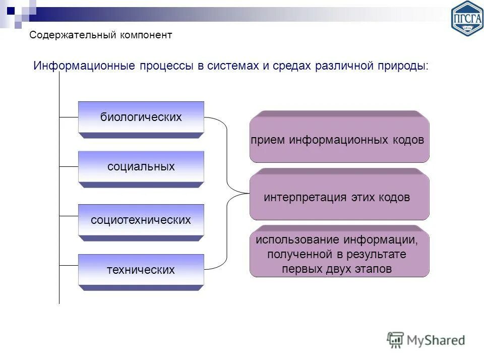 Содержательные компоненты среды