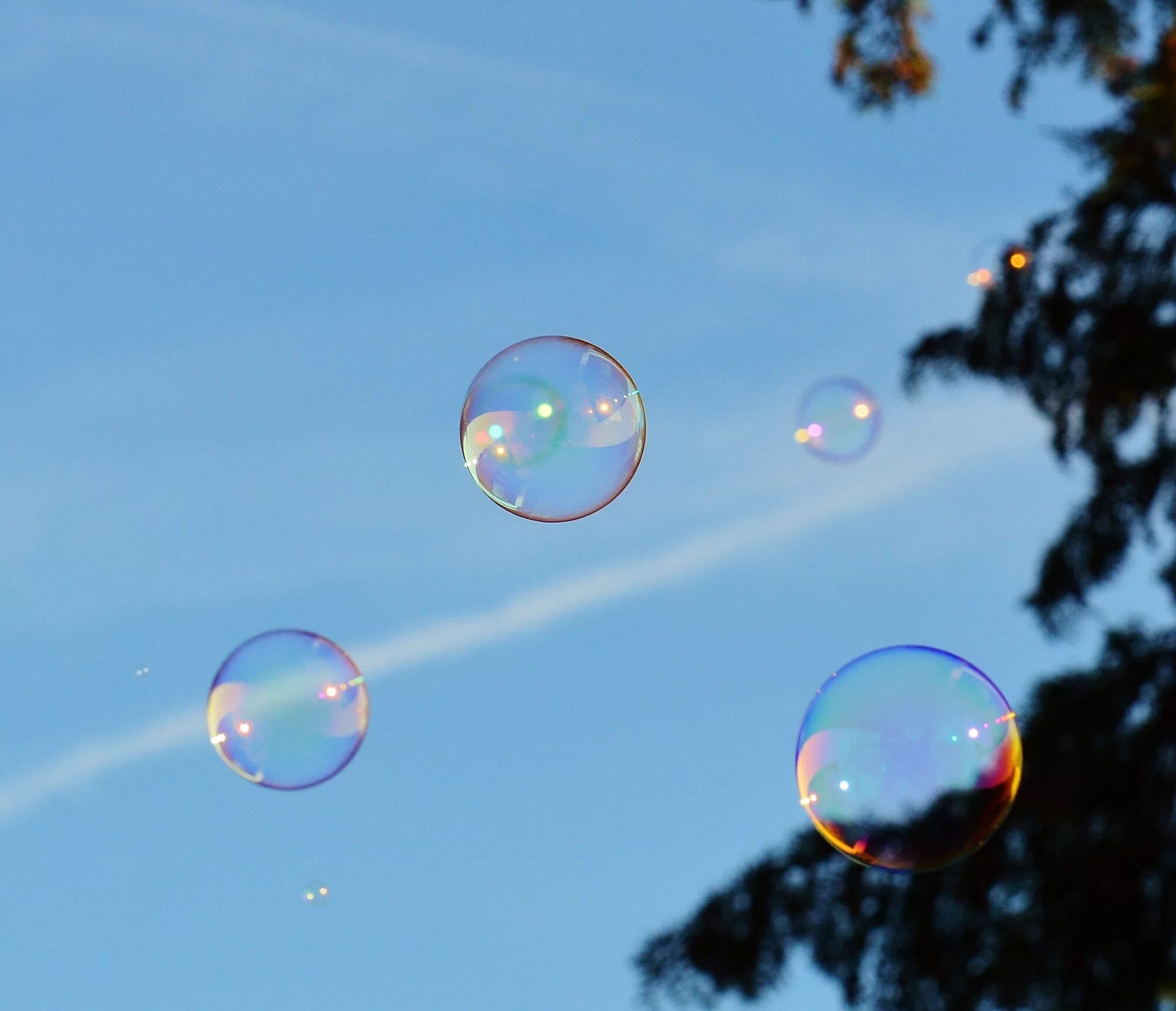 Мыльные пузыри. Воздушные пузыри. Мыльные пузыри в небе. Мыльные пузыри на фоне неба.